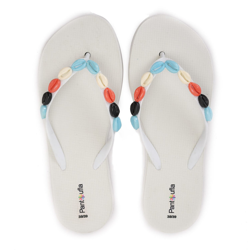 Summer Slipper Coral