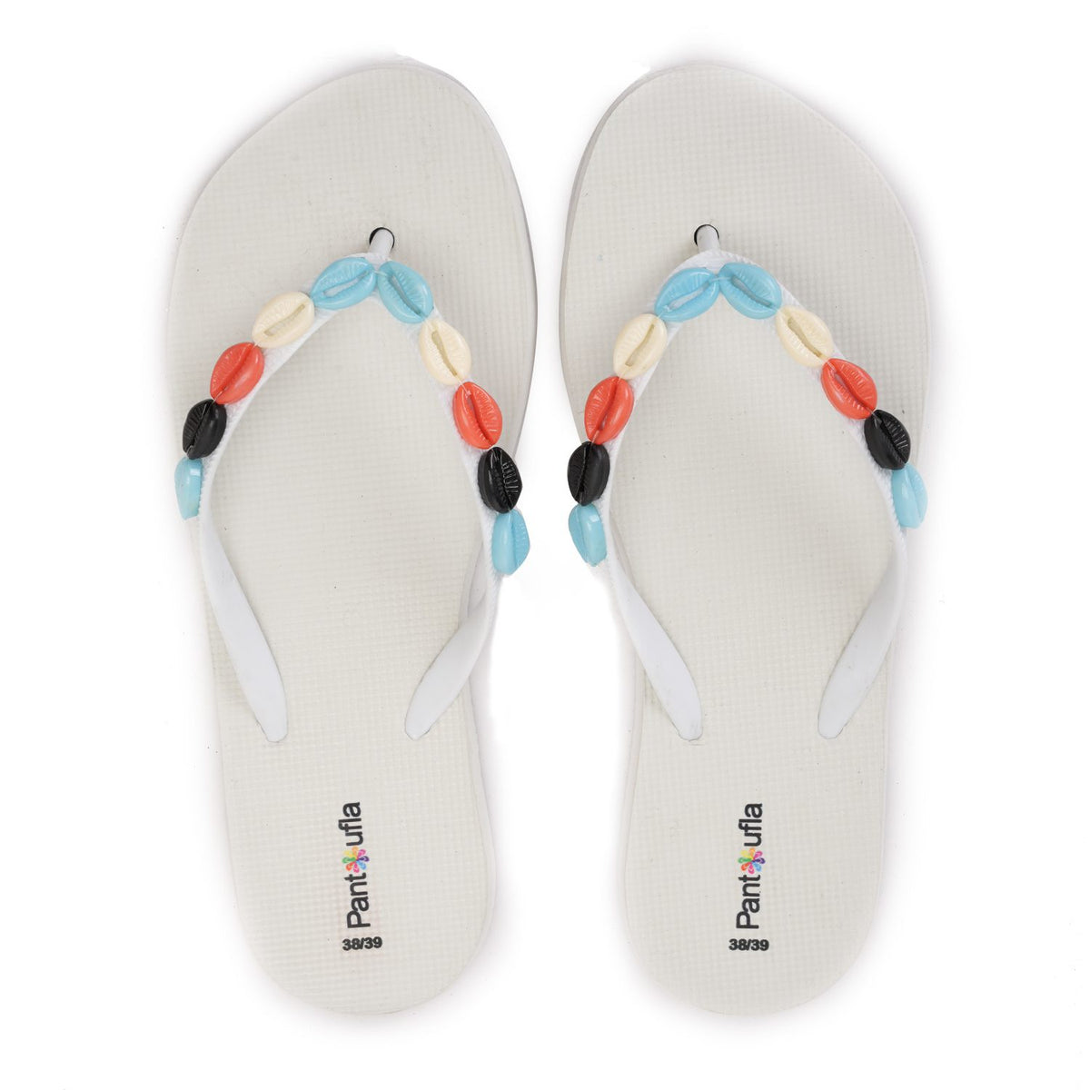 Summer Slipper Coral