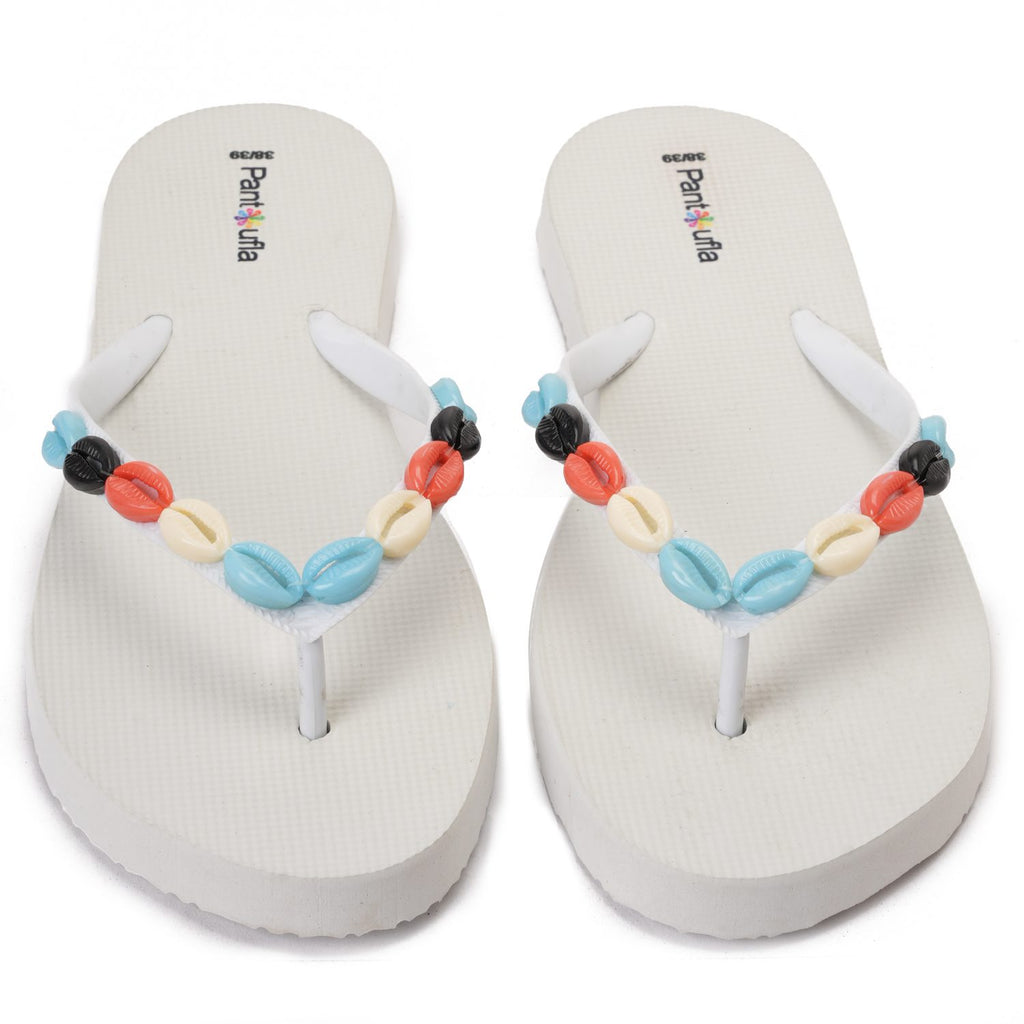 Summer Slipper Coral