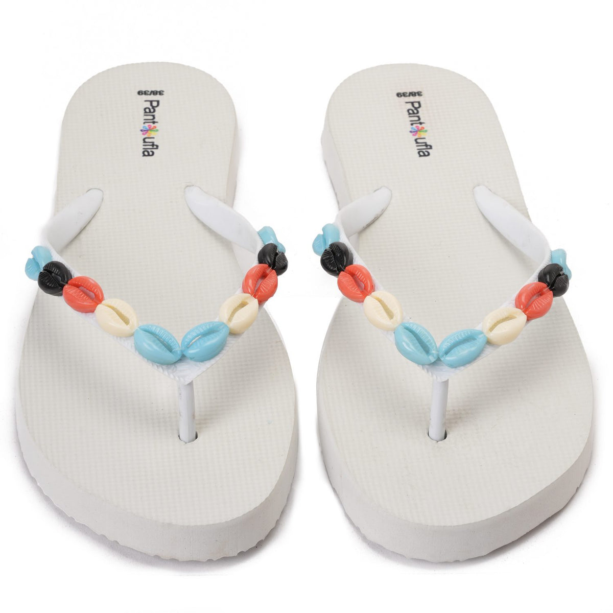 Summer Slipper Coral