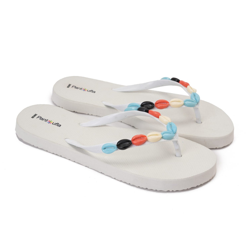 Summer Slipper Coral