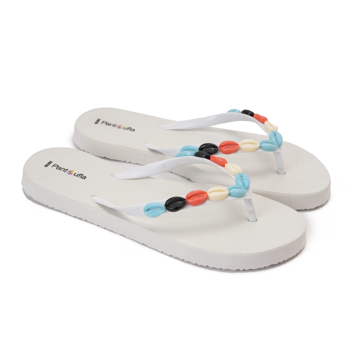 Summer Slipper Coral