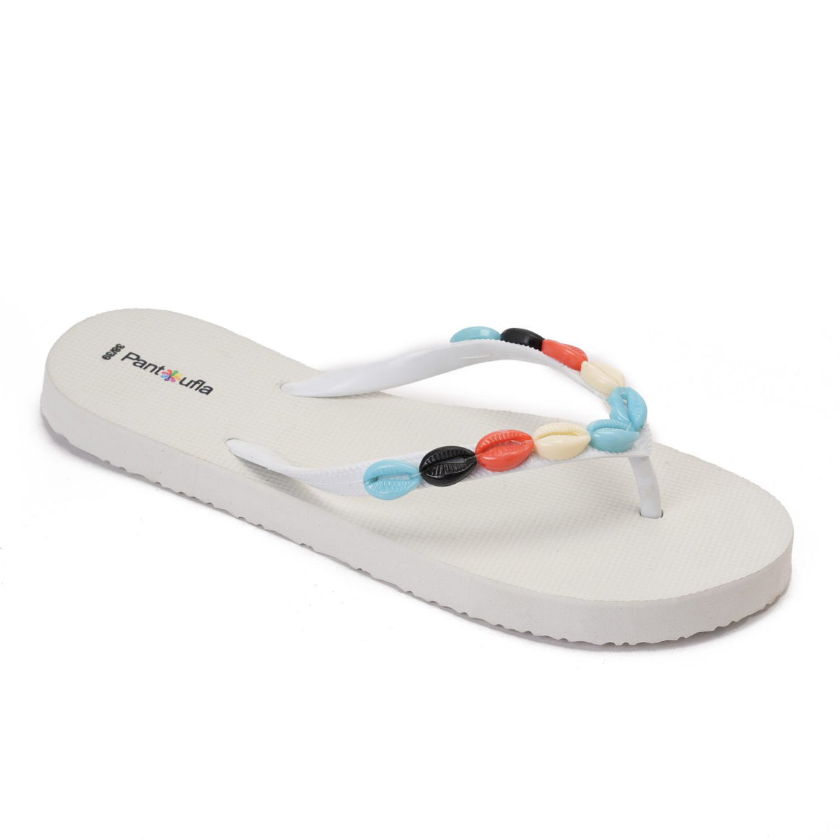 Summer Slipper Coral