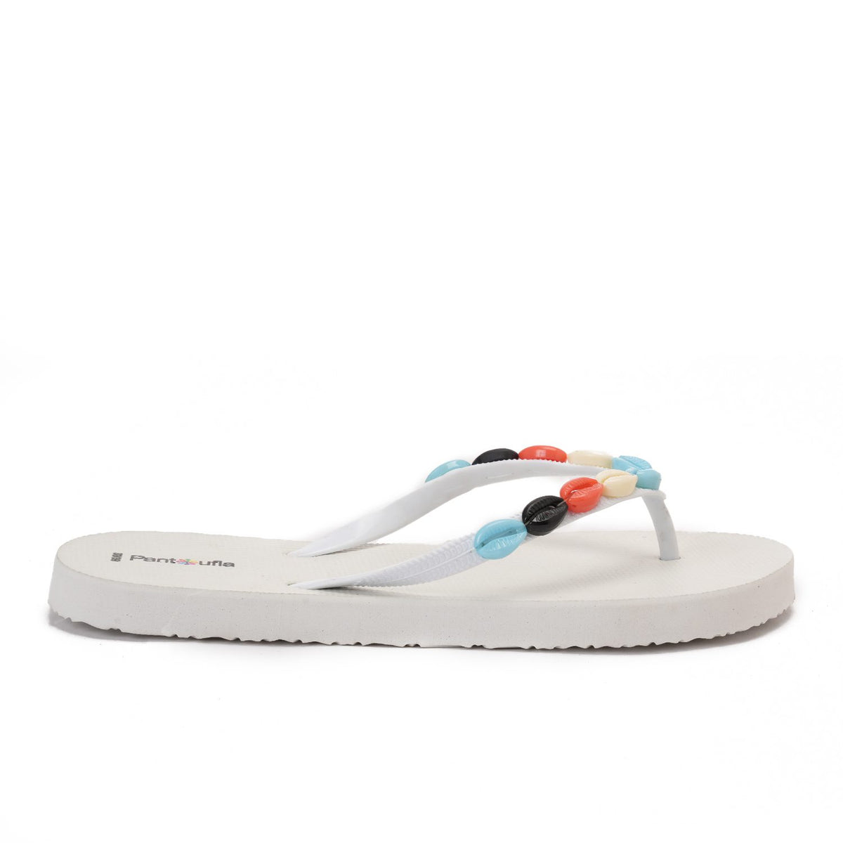Summer Slipper Coral