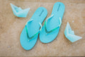 Summer Slippers Aqua
